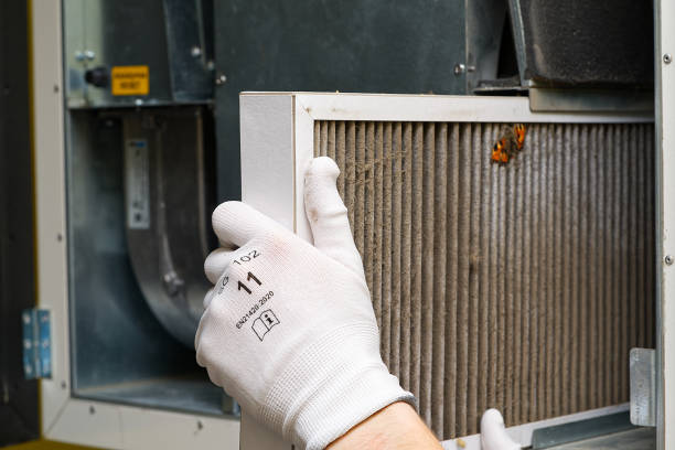 Best Residential Air Duct Cleaning  in Painesville, OH