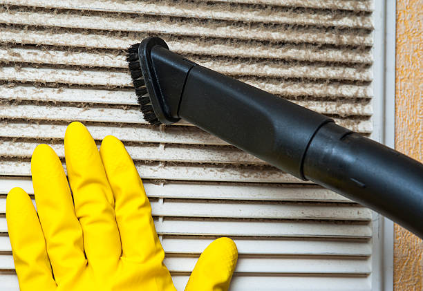 Best HVAC Duct Inspection Services  in Painesville, OH